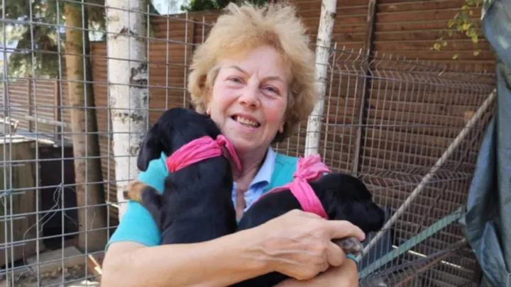 Silvia needs our help. Her dogs and cats need our help.